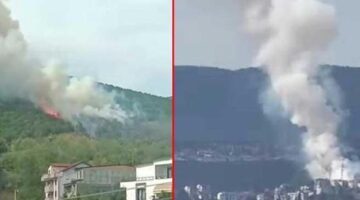 Son dakika… Kocaeli’de orman yangını! Dumanlar kent merkezinden görüldü