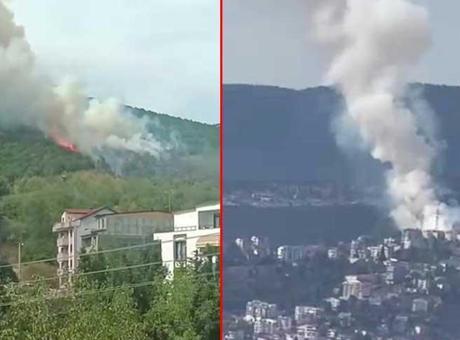 Son dakika… Kocaeli’de orman yangını! Dumanlar kent merkezinden görüldü