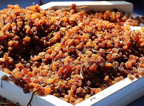 TMO’nun çekirdeksiz kuru üzüm alım fiyatı 120 lira olarak belirlendi