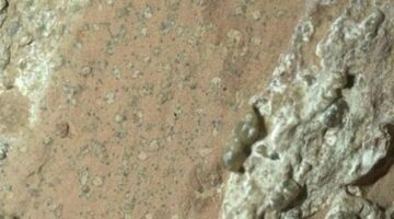 Tüm sırrı leopar çözecek! Mars’ta yaşam olduğuna dair en güçlü kanıt bulundu