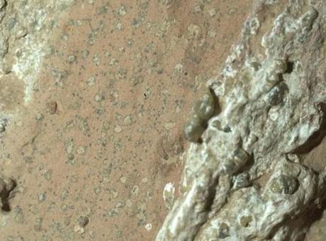 Tüm sırrı leopar çözecek! Mars’ta yaşam olduğuna dair en güçlü kanıt bulundu