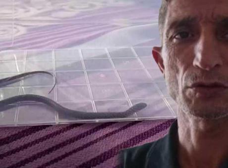 Yer: Diyarbakır! Çocuk odasında yılan paniği: ‘4’ncü katta oturuyorum buraya nasıl geldi?’